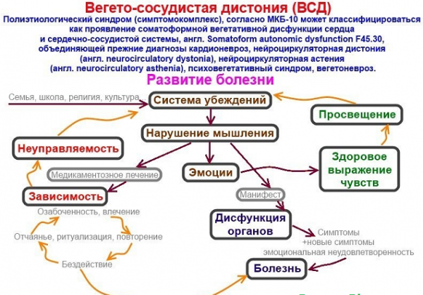 Механизм развития вегетососудистой дистонии