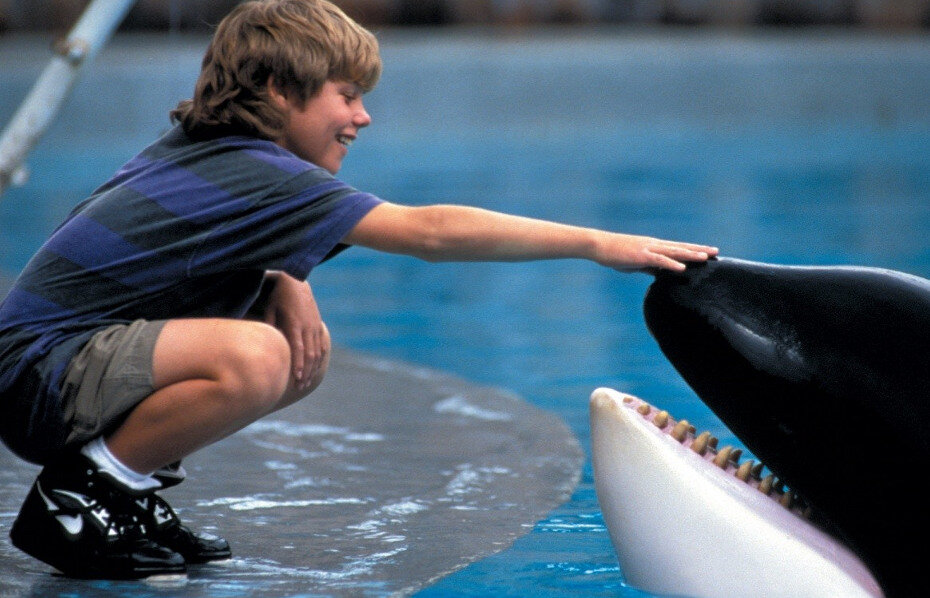 Boy and dolphin