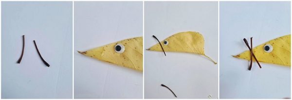 Glue the eyes