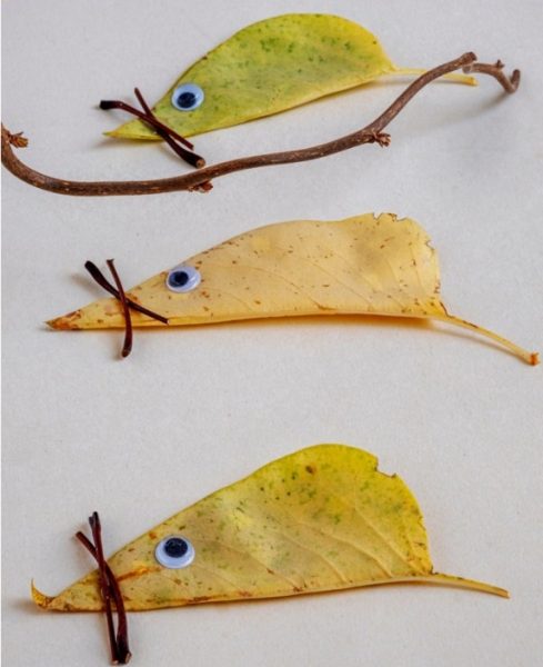 Mouse made of leaves