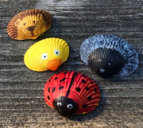Shell animals