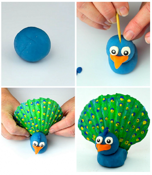 Shell peacock