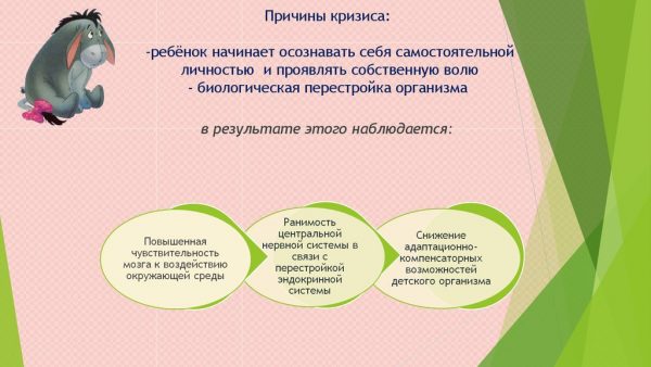 Причины кризиса 3-х лет
