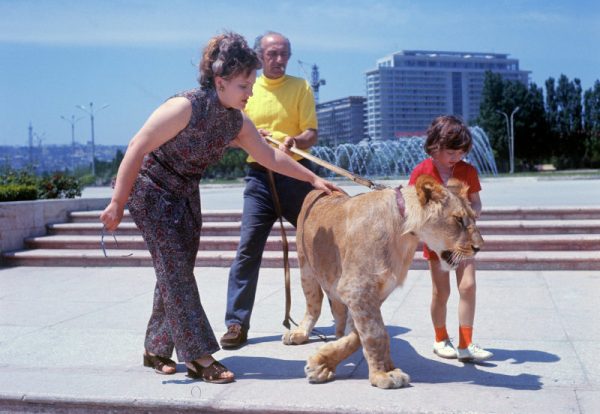The Berberov family with King