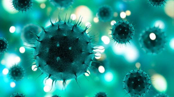 Virus