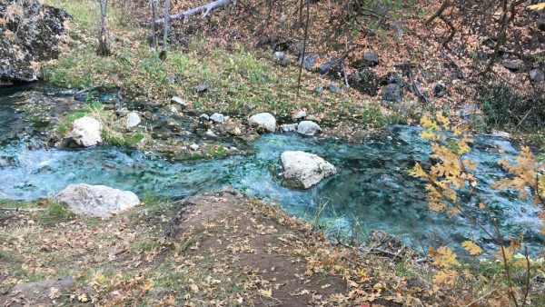 Речка, из которой женщина брала воду