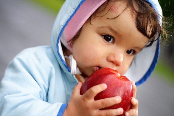 baby eat an apple