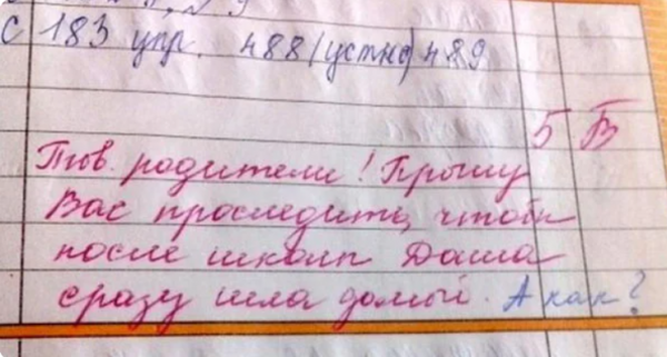 Отдельный жанр литературы - замечания учителей в школьных дневниках