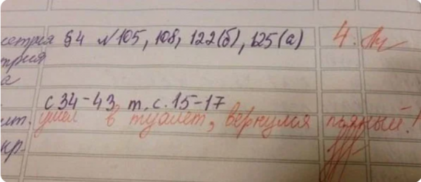 Отдельный жанр литературы - замечания учителей в школьных дневниках