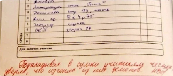 Отдельный жанр литературы - замечания учителей в школьных дневниках