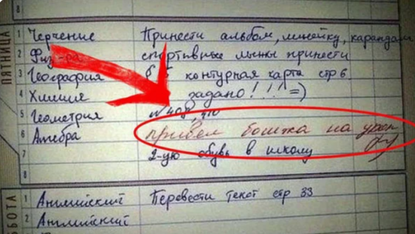 Отдельный жанр литературы - замечания учителей в школьных дневниках
