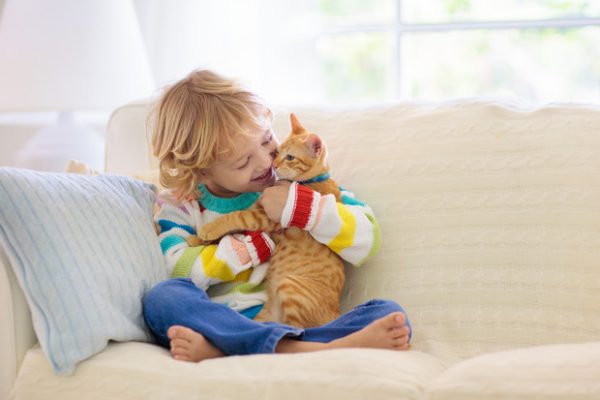 мальчик с котом