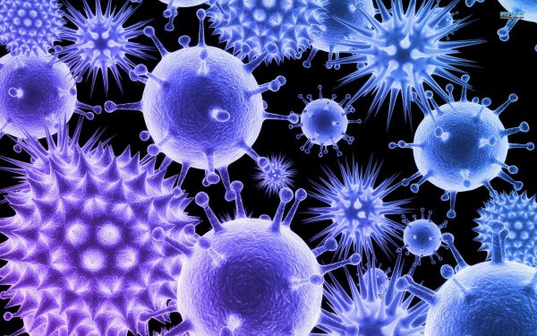 Viruses