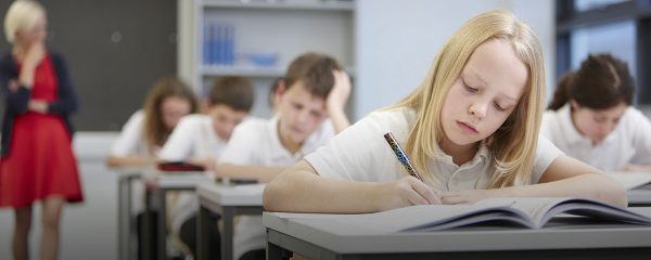 «Аргумент тех, чьи дети не очень трудолюбивы». В школах отменяют второй иностранный