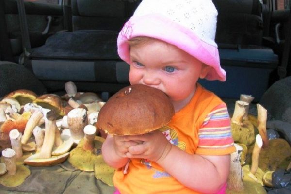 дети и грибы