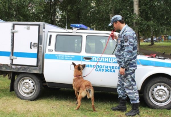 поиск девочки