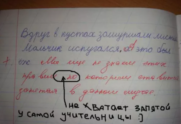 Подборка нелепых учительских ошибок в тетрадях или какие грамотеи учат наших детей