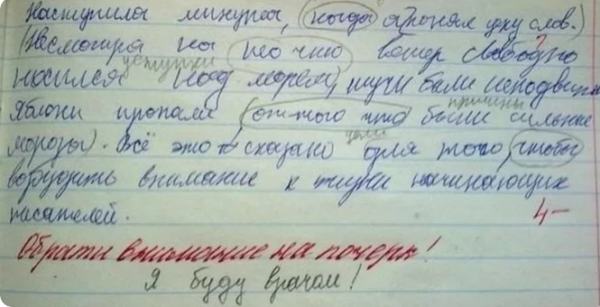 Подборка нелепых учительских ошибок в тетрадях или какие грамотеи учат наших детей