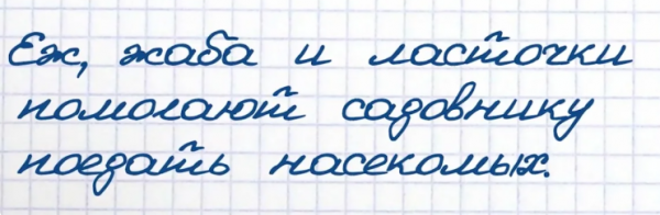 Забавная подборка цитат из школьных сочинений