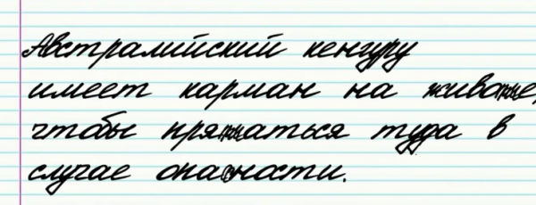 Забавная подборка цитат из школьных сочинений