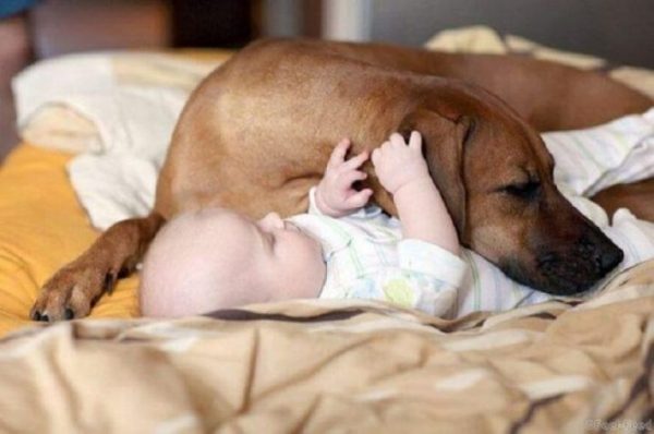 21 фото о том, как весело быть родителями - ищите себя и точно найдете