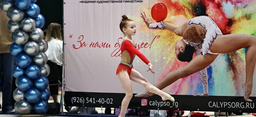 художественная гимнастика