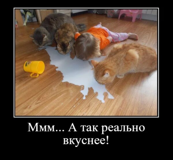 Съем сначала кота...: 11 уморительных фото ну очень голодных детей - минутка юмора