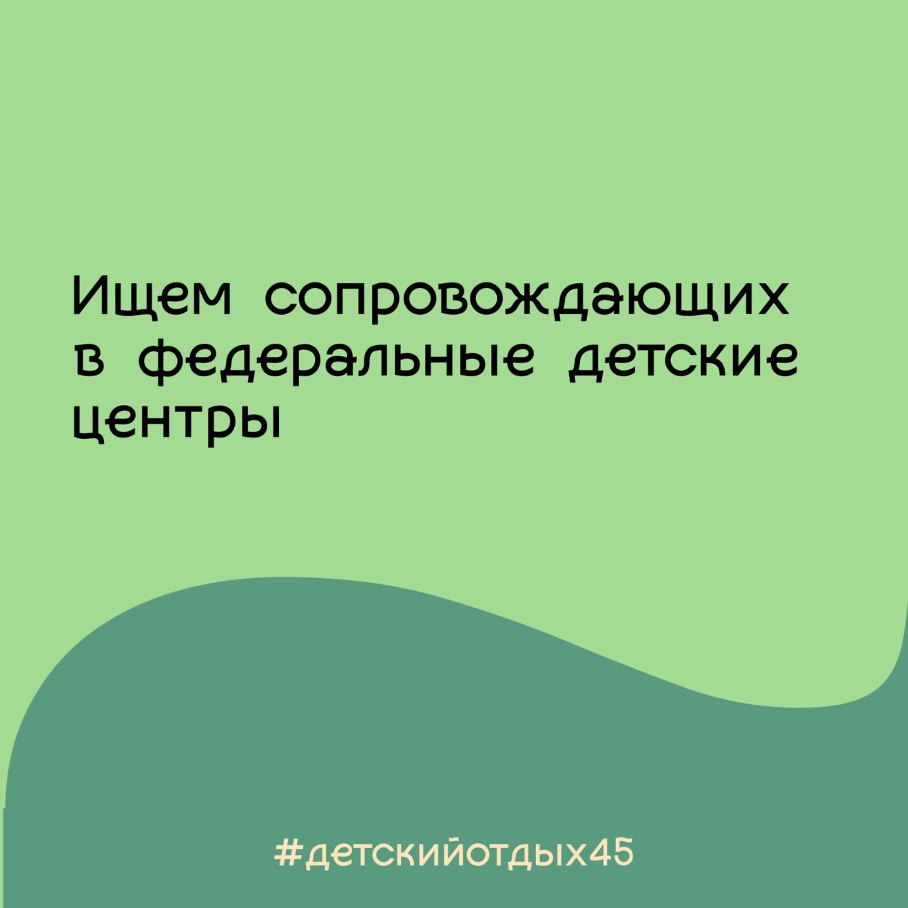 Ищем ответственных сопровождающих!
