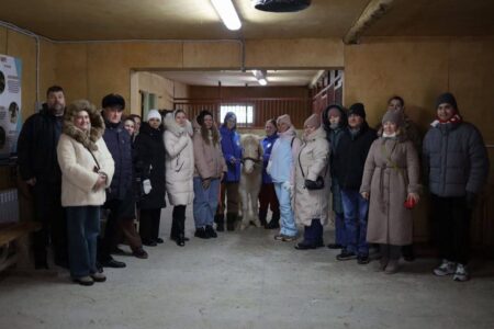 Семинар «Диалоги профессионалов 72 — Мы вместе»: итоги и перспективы
