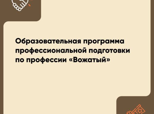 Образовательная программа профессиональной подготовки по профессии «Вожатый»