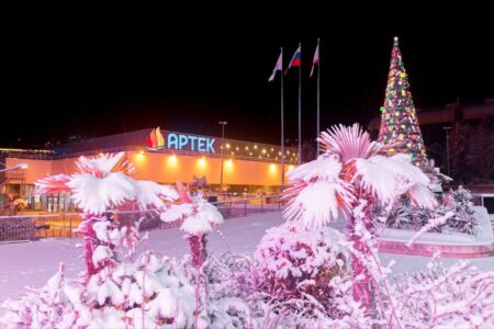 В МДЦ «Артек» продолжается набор заявок на 15 смену