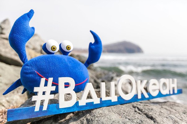 Школьников Курганской области приглашают в ВДЦ «Океан» на образовательные смены весной 2026 года