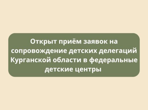 Открыт приём заявок на сопровождение детских делегаций Курганской области в федеральные детские центры