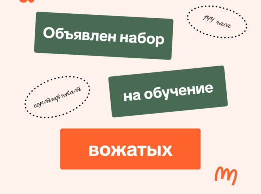 Объявлен набор на программу профессионального обучения «Вожатый»