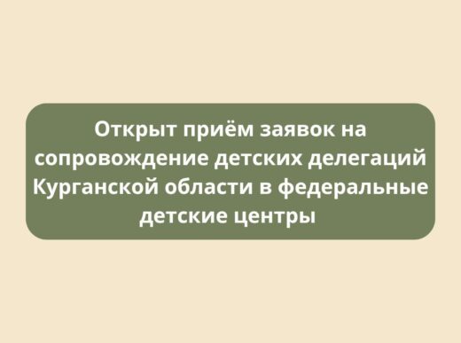 Открыт приём заявок на сопровождение детских делегаций Курганской области в федеральные детские центры на весенний период