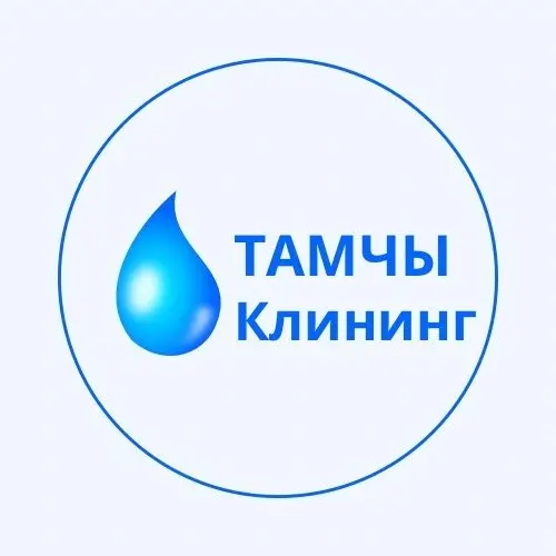 Тамчы клининг — логотип