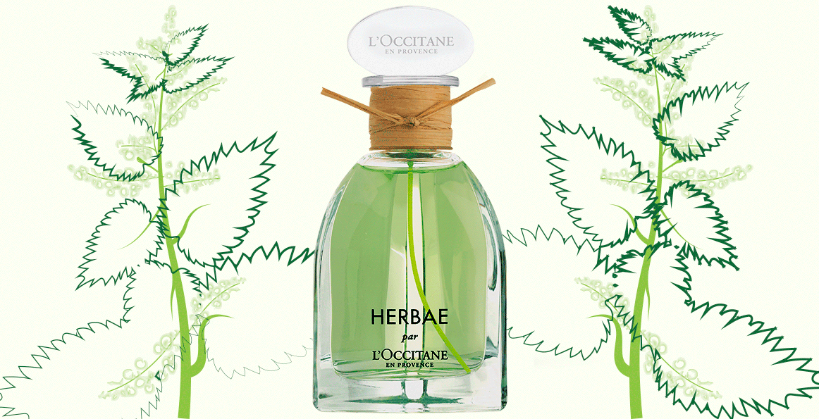 Аромат недели: Herbae, L’Occitane