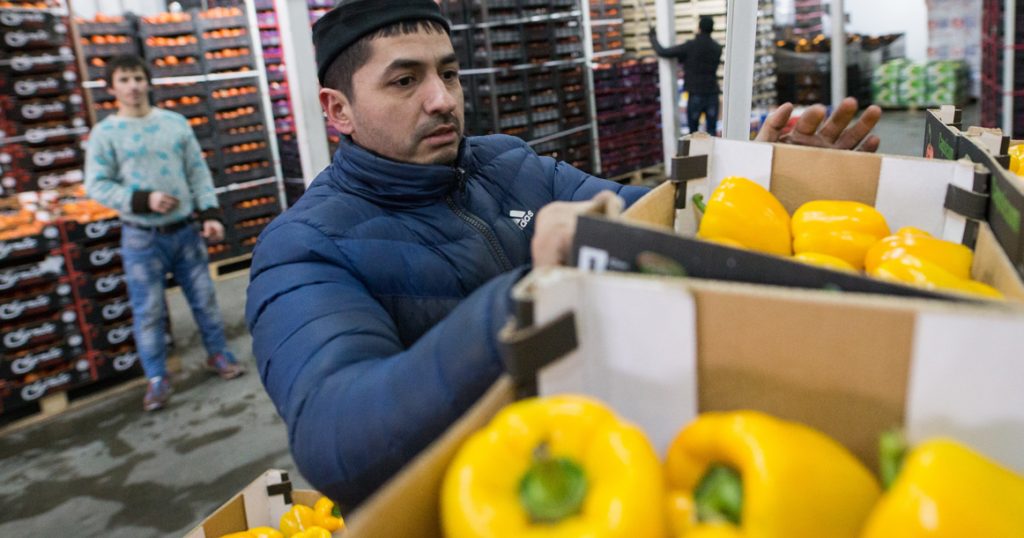На рынке «Фуд Сити» проходят обыски — ищут мигрантов-нарушителей