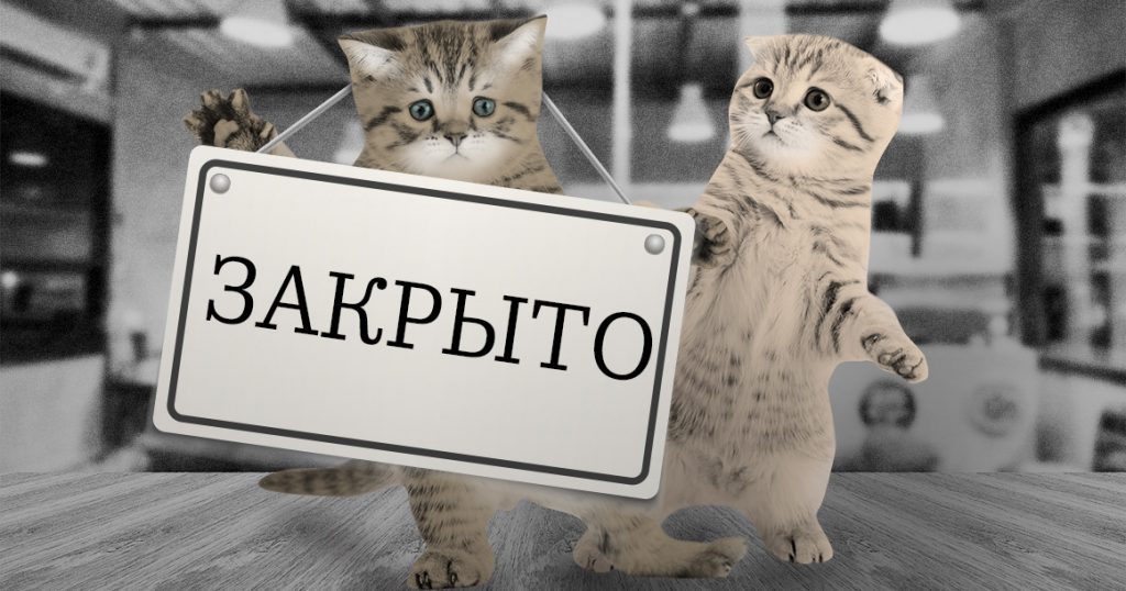 Мосгордума собирается запретить все кафе с животными — и не только