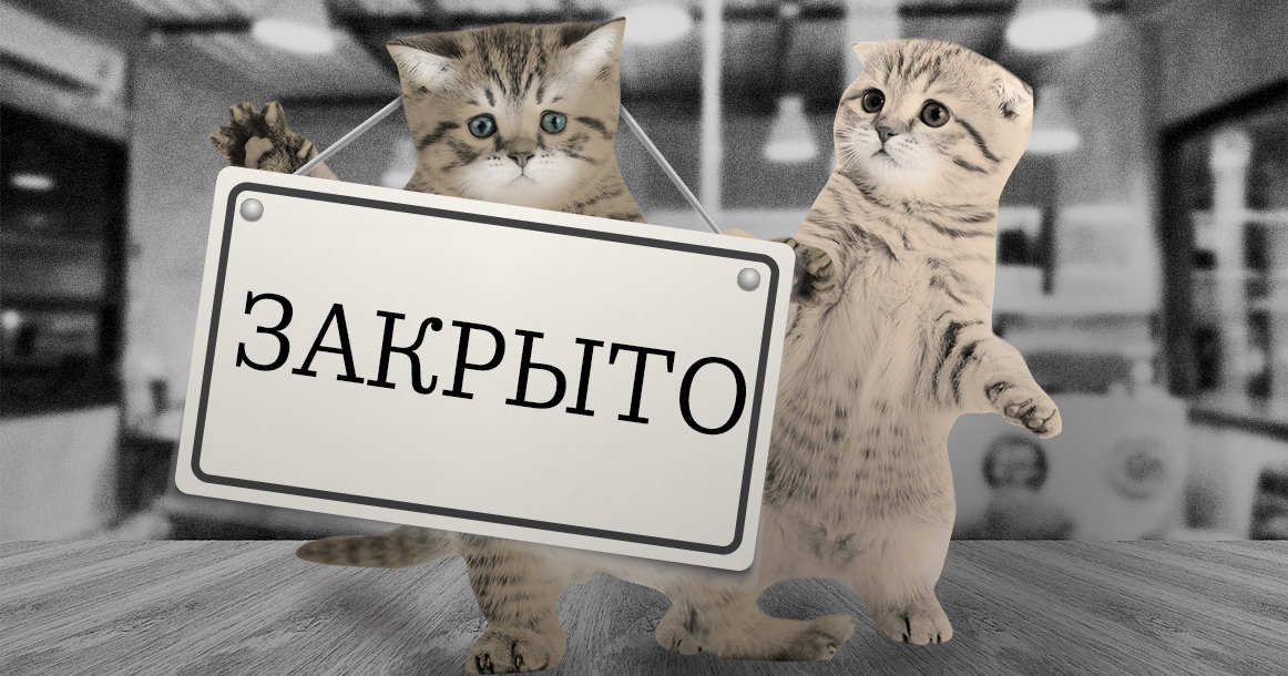 Мосгордума собирается запретить все кафе с животными — и не только