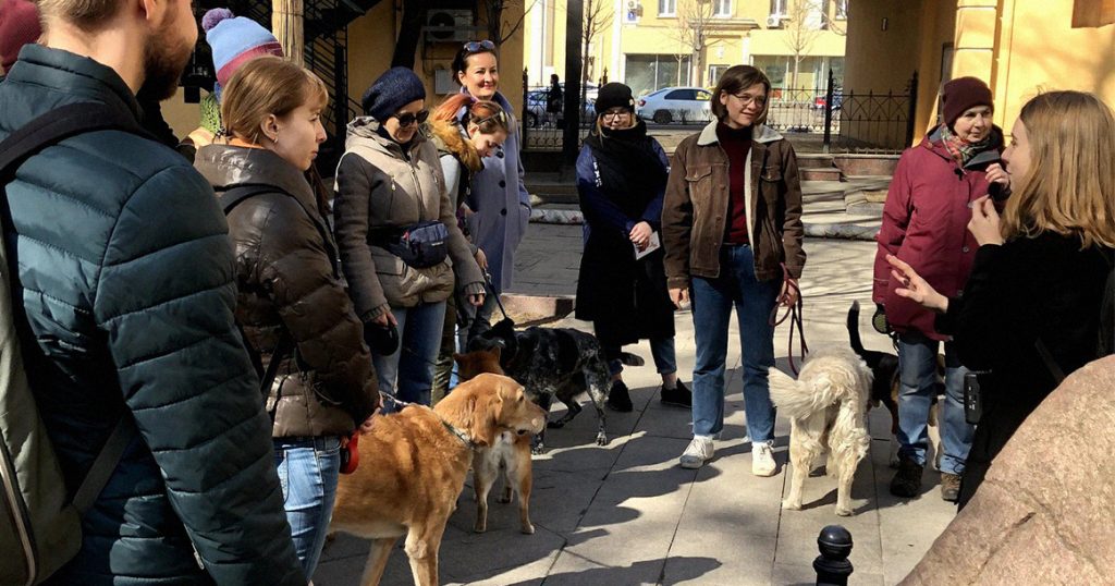 Дог-френдли экскурсии и другие радости собачьей жизни в Москве