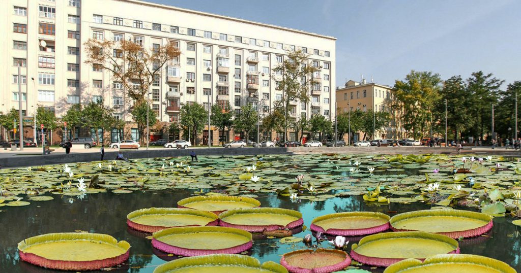 Жители Басманного района предлагают превратить Яму на Покровке в пруд с утками