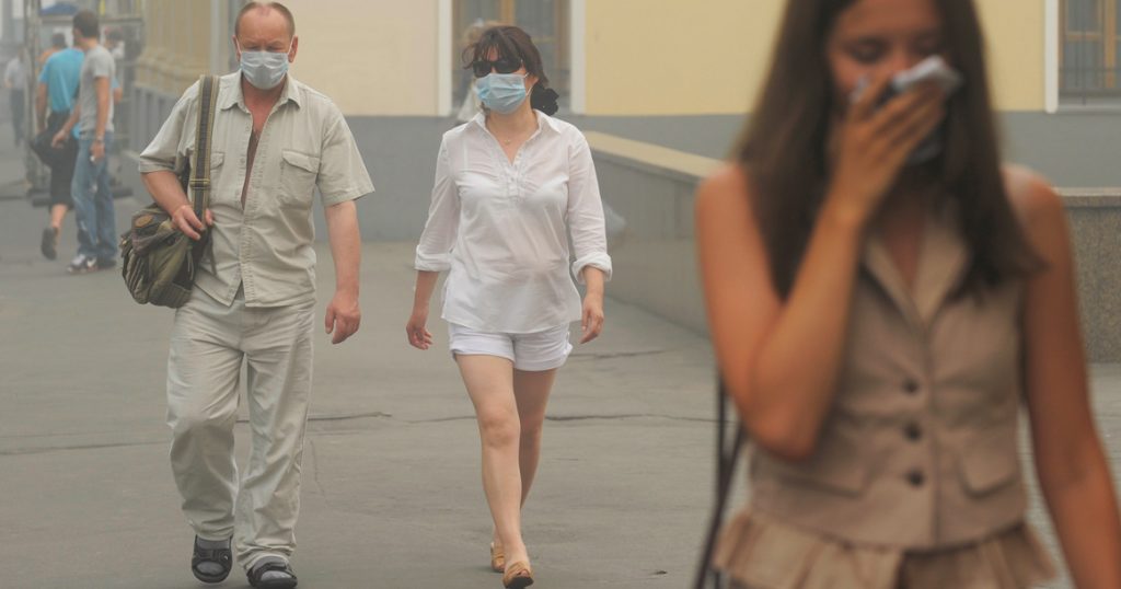 Дым и гарь от сибирских лесных пожаров могут дойти до Москвы уже в первые дни августа