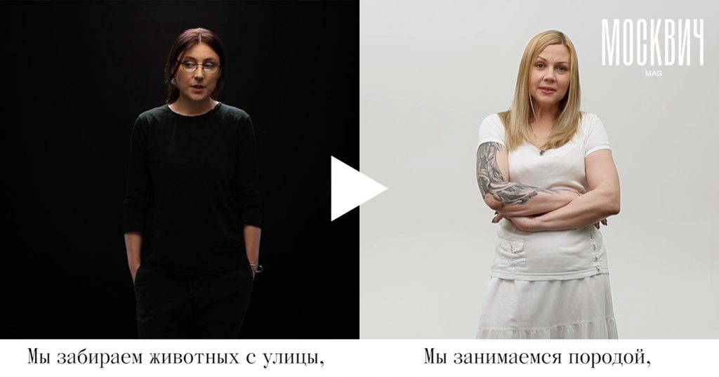 «Черное и белое»: собаки из приюта или из питомника?