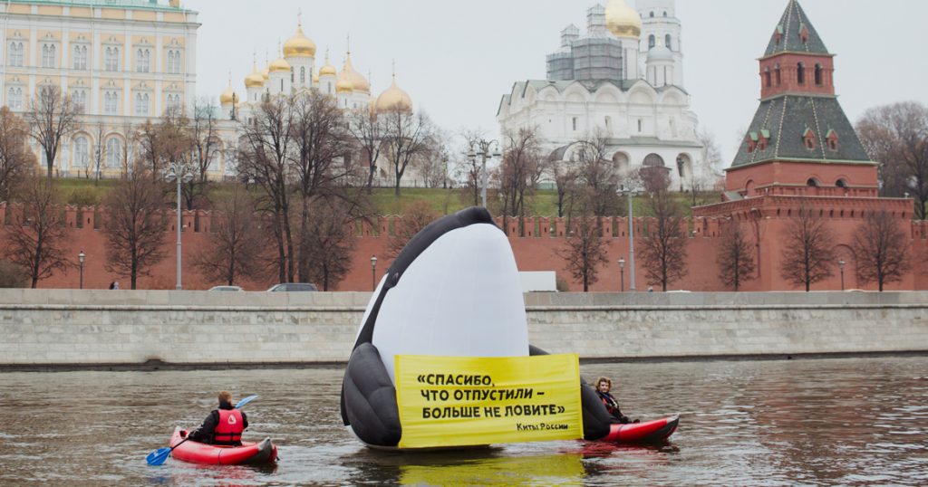Полиция задержала активистов «Гринпис», проплывших перед Кремлем с надувной  косаткой