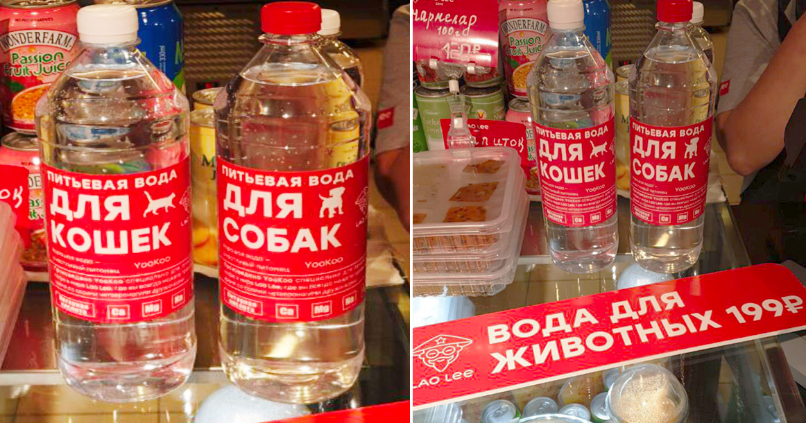 В кафе Lao Lee начали продавать «Воду для кошек» и «Воду для собак»
