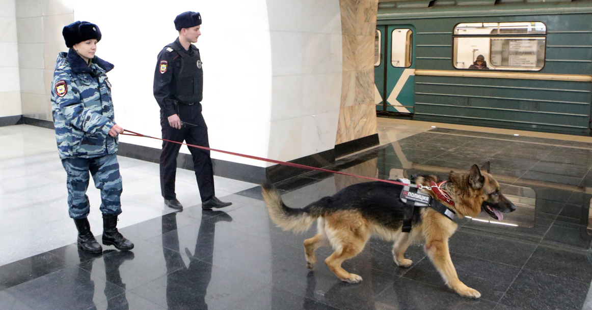Поезда в метро следуют с задержками из-за сигнала о минировании всех станций метро