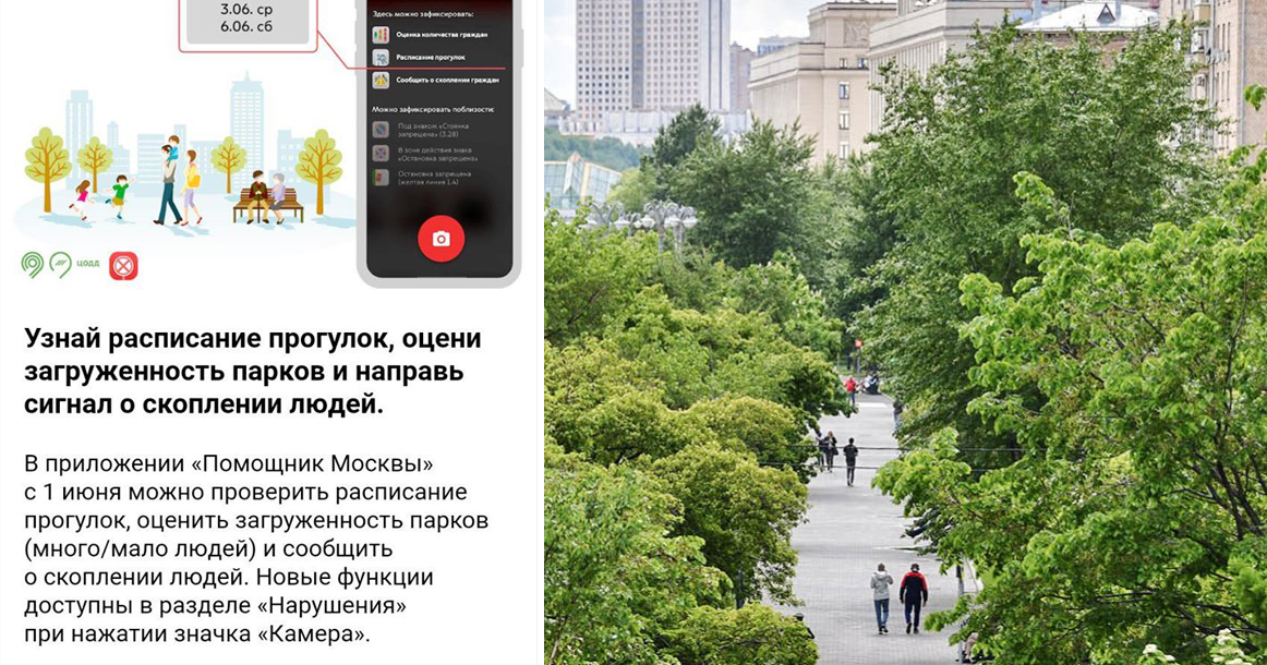 В приложении «Помощник Москвы» появилась функция «Сообщить о скоплении людей в парке»