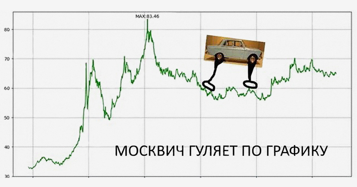 Сегодня начались прогулки по графику: вот как вы на них отреагировали