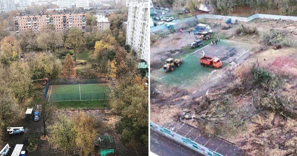 «Это варвары»: на Радужной улице ради реновации за 4 часа вырубили все деревья во дворе